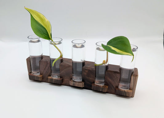 Tineke Tubes - Decorative Plant Propagation Holder (5 tubes) - Black Walnut