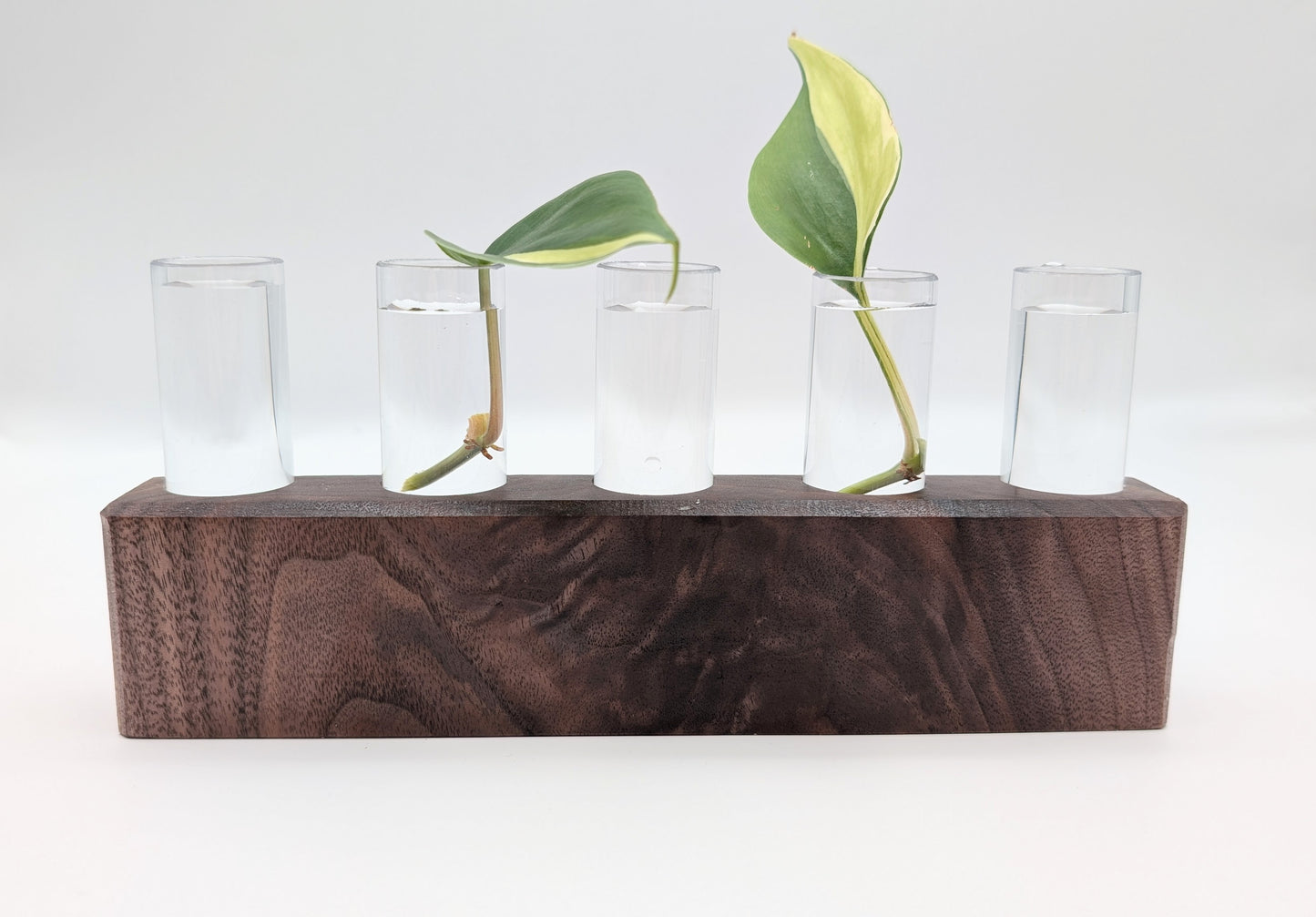 Tineke Tubes - Decorative Plant Propagation Holder (5 tubes) - Black Walnut