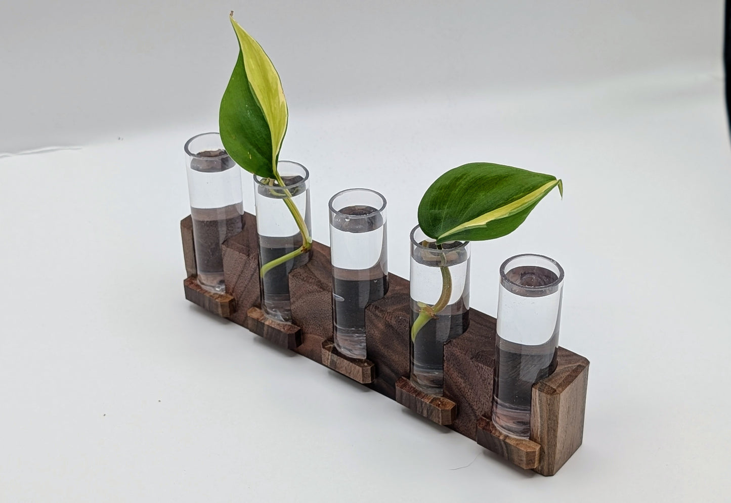 Tineke Tubes - Decorative Plant Propagation Holder (5 tubes) - Black Walnut