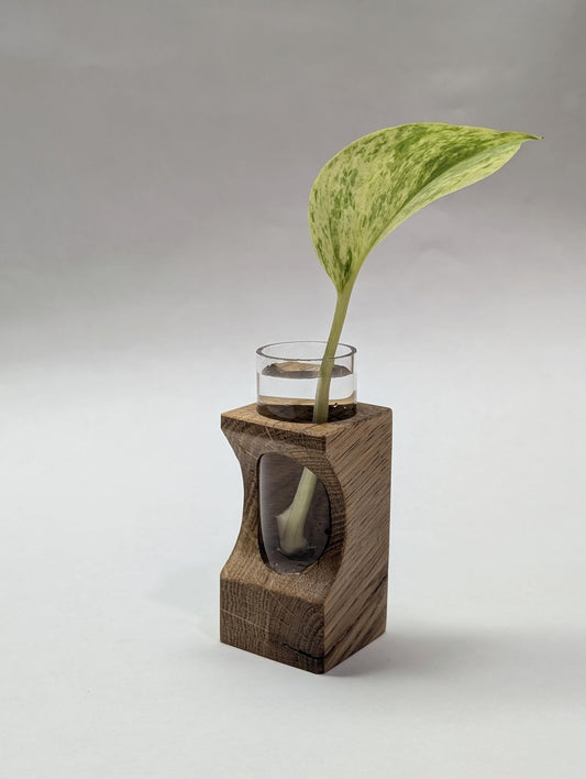 Tineke Tubes - Decorative Plant Propagation Holder - White Oak