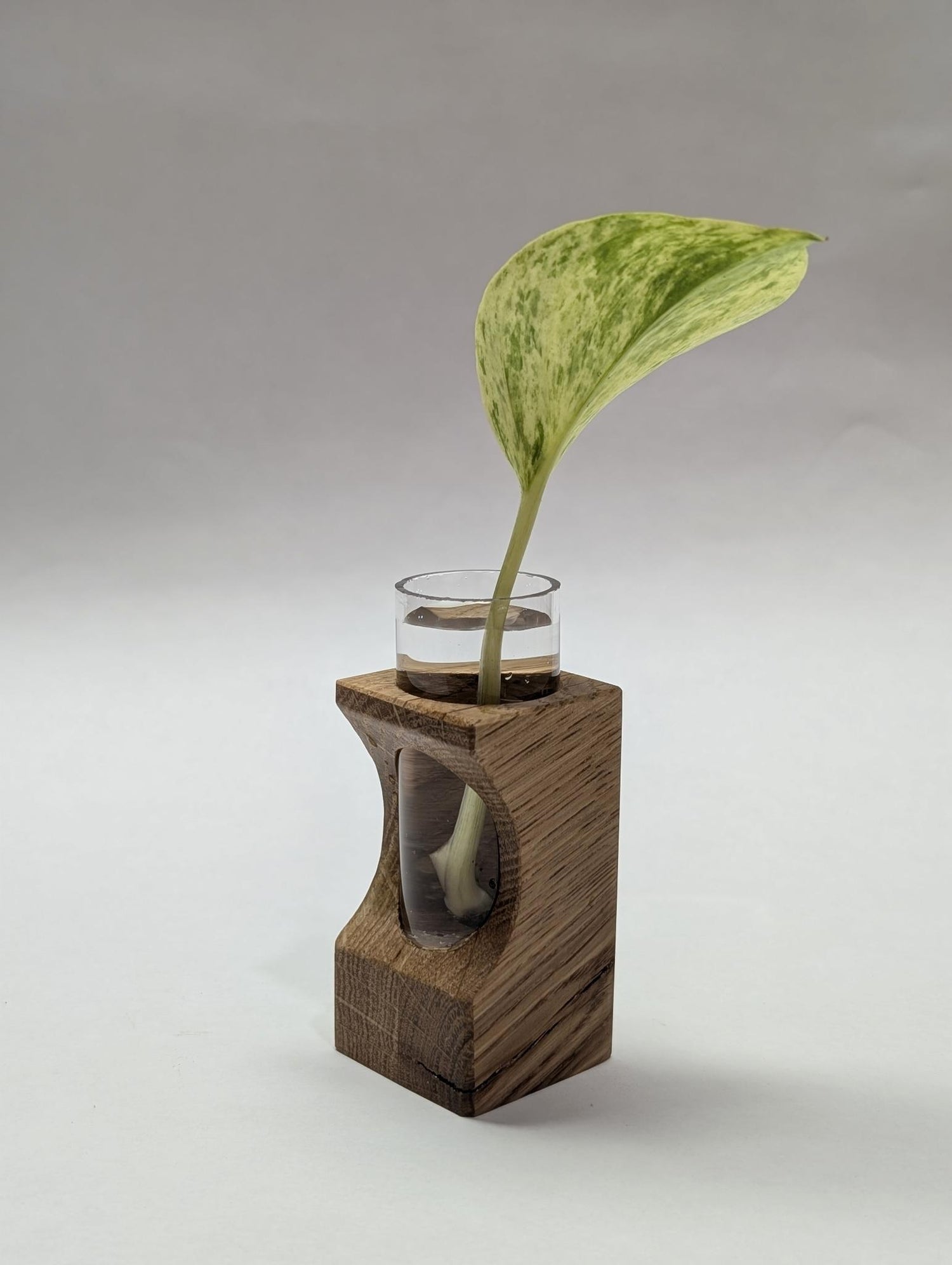 Indoor Planters and Pots