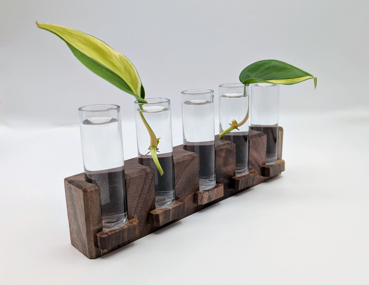 Tineke Tubes - Decorative Plant Propagation Holder (5 tubes) - Black Walnut