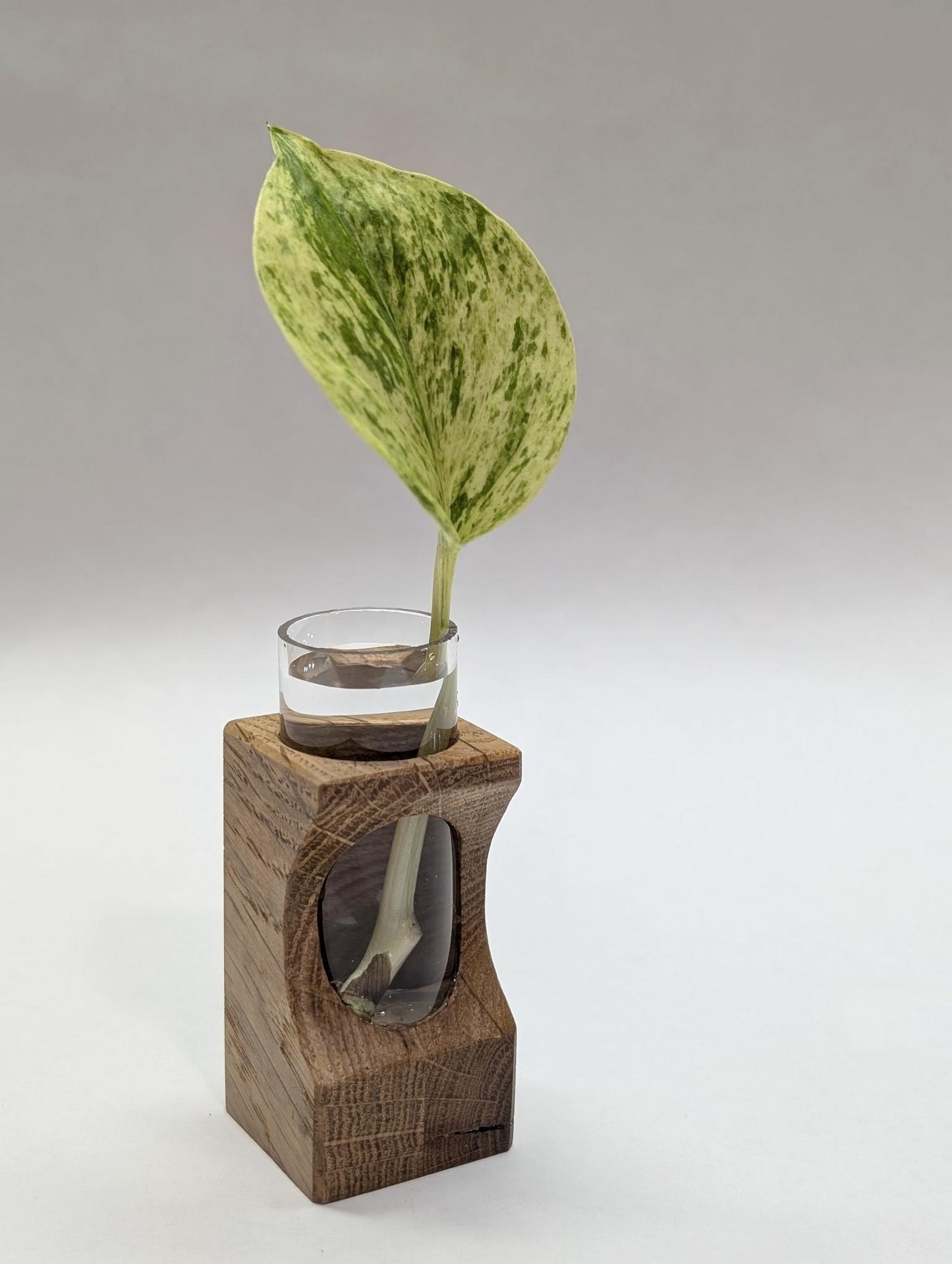 Tineke Tubes - Decorative Plant Propagation Holder - White Oak