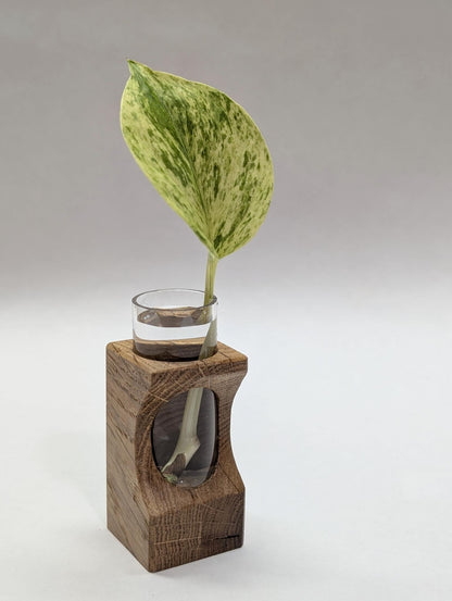 Tineke Tubes - Decorative Plant Propagation Holder - White Oak